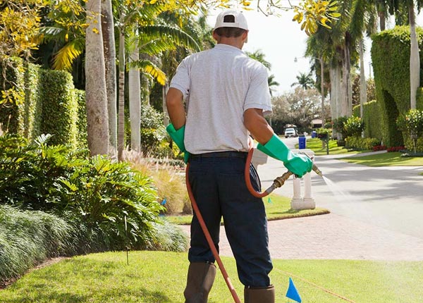 About Fulton AL Pest Control